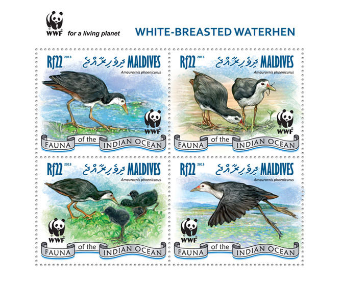 WWF - Birds. (set) - Issue of Maldives postage stamps