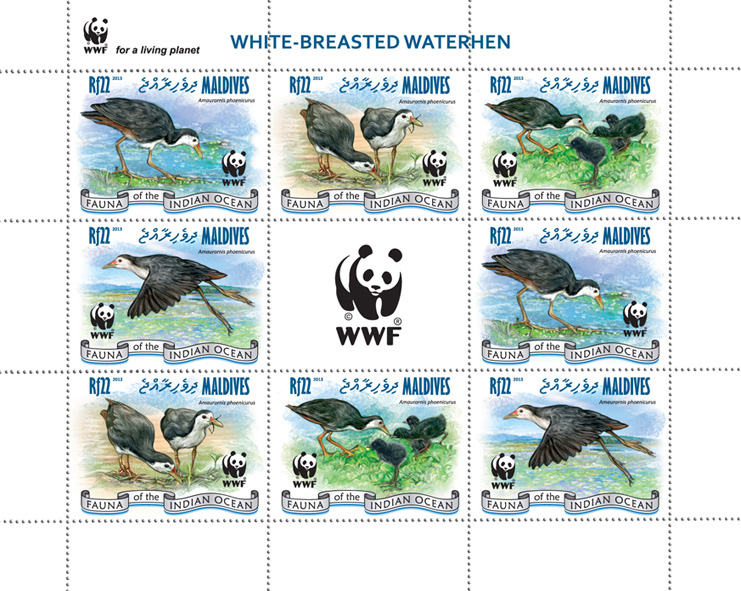 WWF - Birds. (2 sets) - Issue of Maldives postage stamps