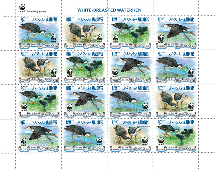 WWF - Birds. (4 sets) - Issue of Maldives postage stamps