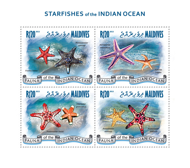 Starfishes - Issue of Maldives postage stamps