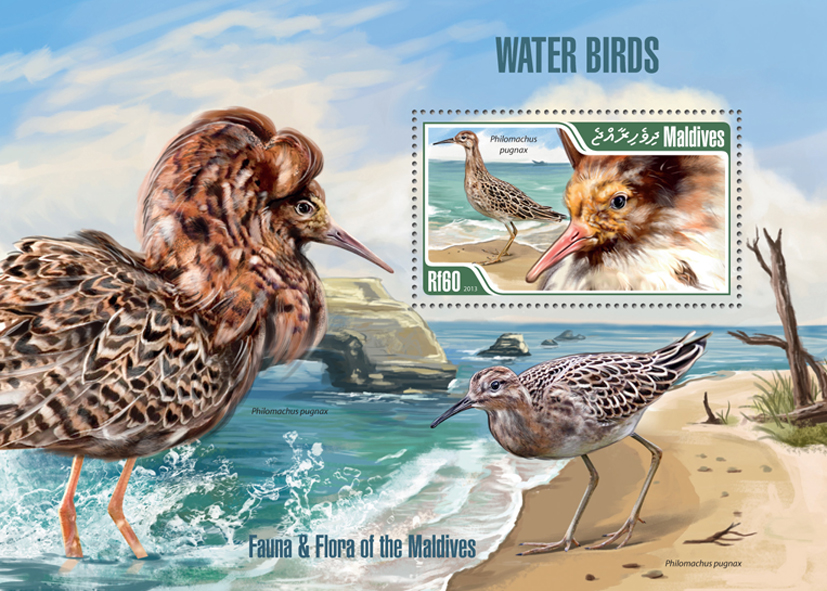 Birds - Issue of Maldives postage stamps