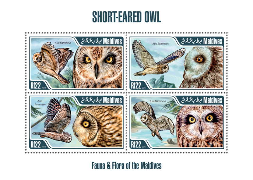 Owl - Issue of Maldives postage stamps