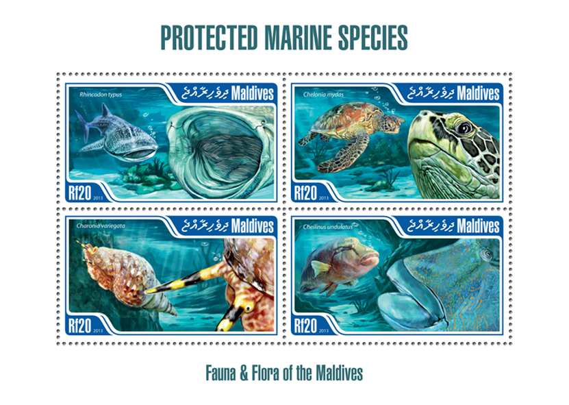 Marine species - Issue of Maldives postage stamps