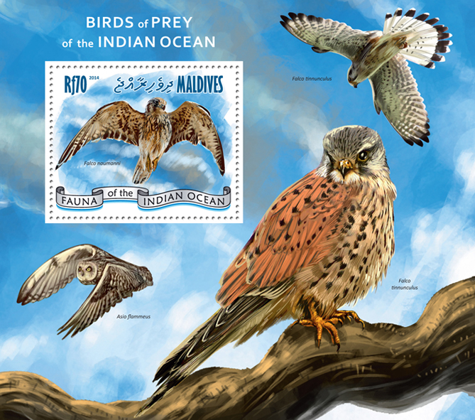 Birds of Prey - Issue of Maldives postage stamps