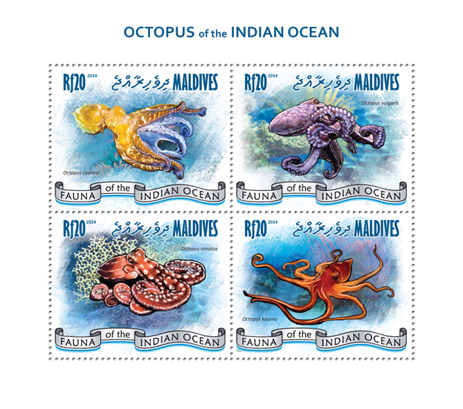 Octopus - Issue of Maldives postage stamps