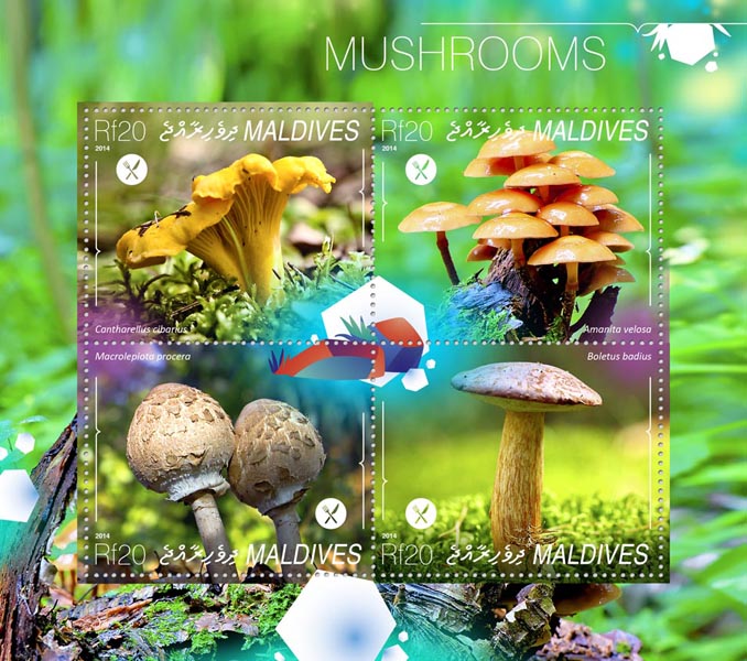 Mushrooms - Issue of Maldives postage stamps