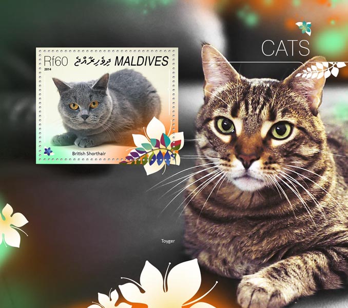 Cats - Issue of Maldives postage stamps