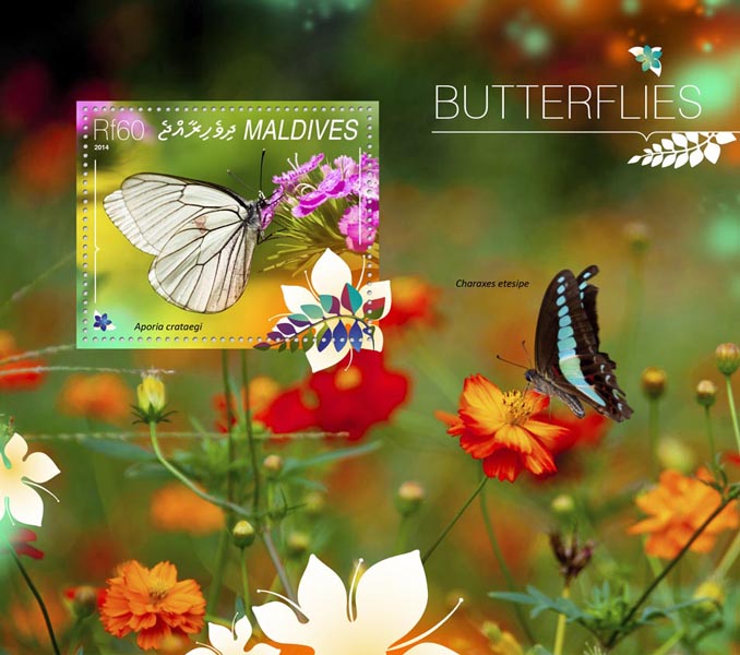 Butterflies - Issue of Maldives postage stamps