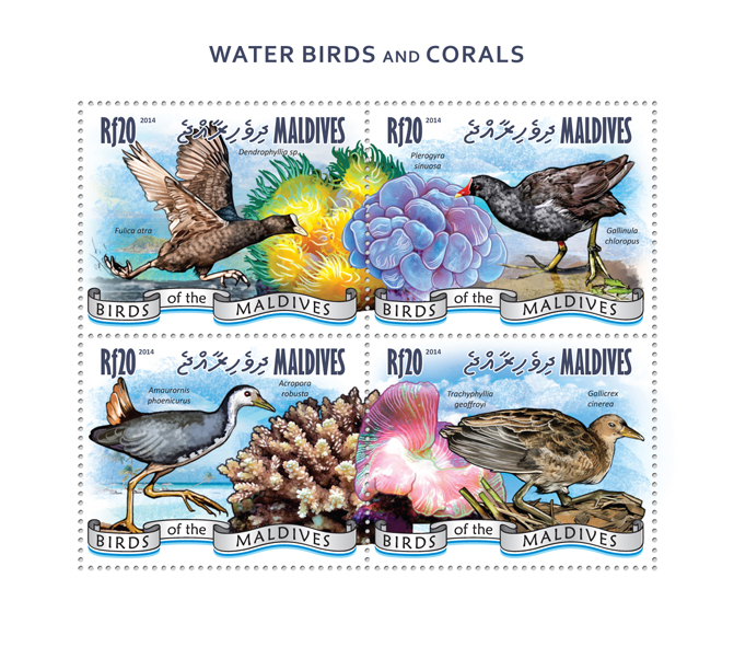 Water birds and Corals - Issue of Maldives postage stamps