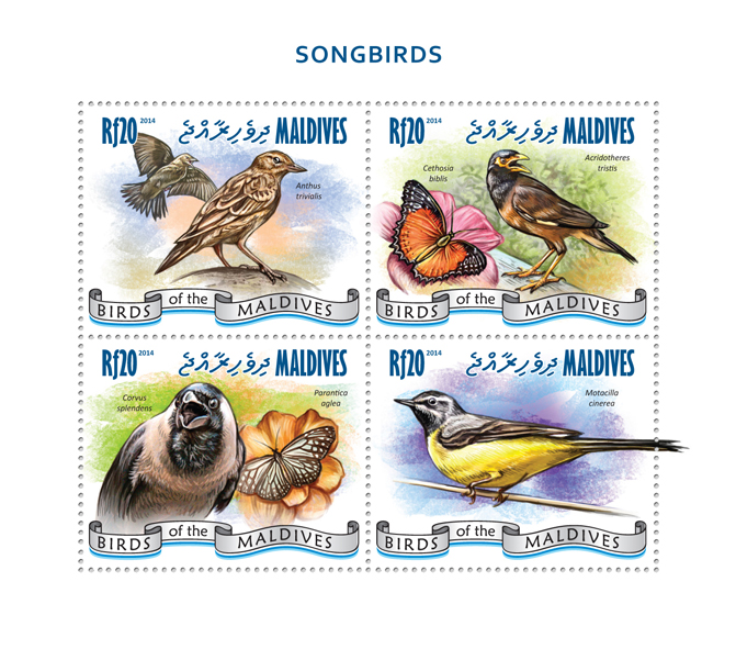 Songbirds - Issue of Maldives postage stamps
