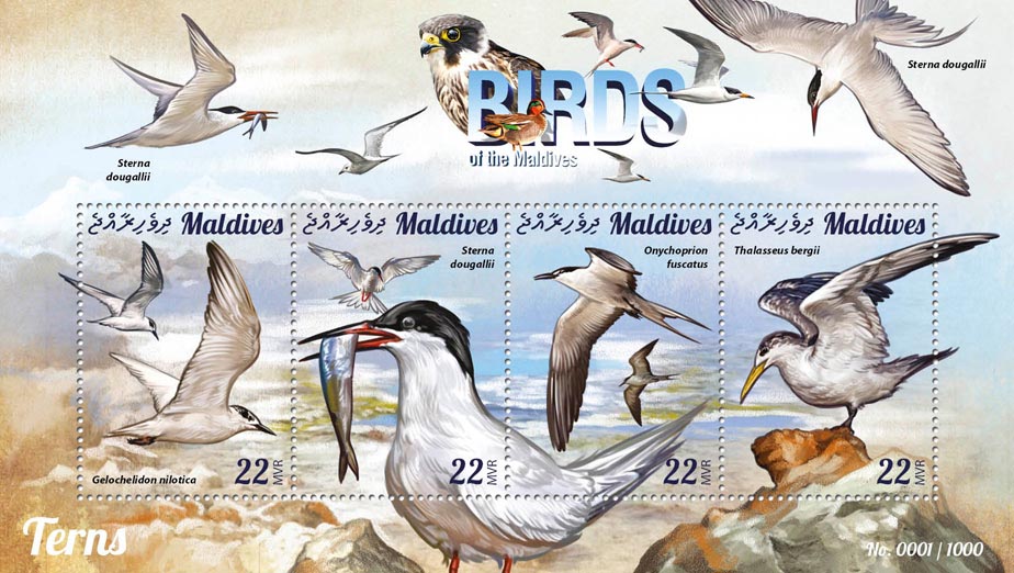 Terns - Issue of Maldives postage stamps