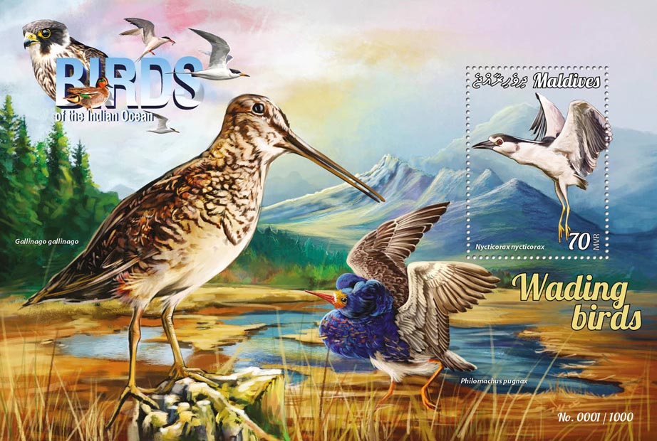 Wading birds - Issue of Maldives postage stamps