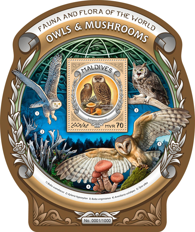 Owls and mushrooms - Issue of Maldives postage stamps