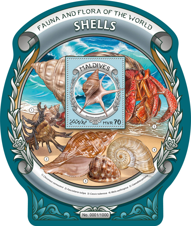 Shells - Issue of Maldives postage stamps