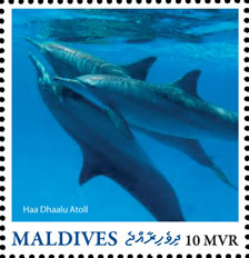 Haa Dhaalu Atoll - Issue of Maldives postage stamps