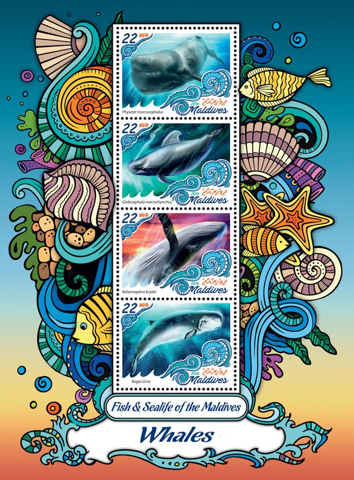 Whales - Issue of Maldives postage stamps