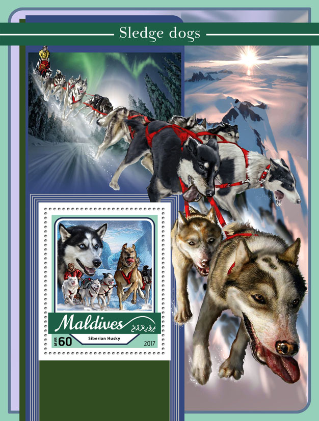 Sledge dogs - Issue of Maldives postage stamps