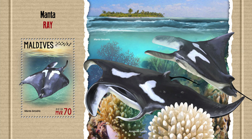 Manta ray - Issue of Maldives postage stamps
