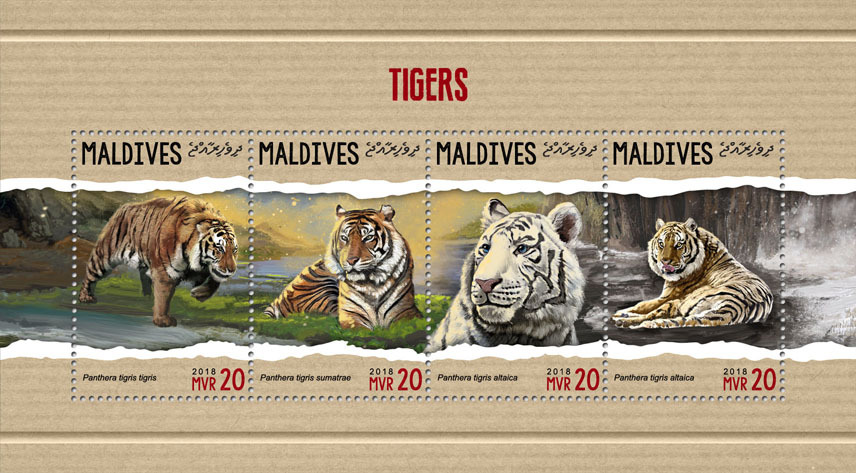 Tigers - Issue of Maldives postage stamps