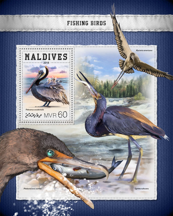 Fishing birds - Issue of Maldives postage stamps