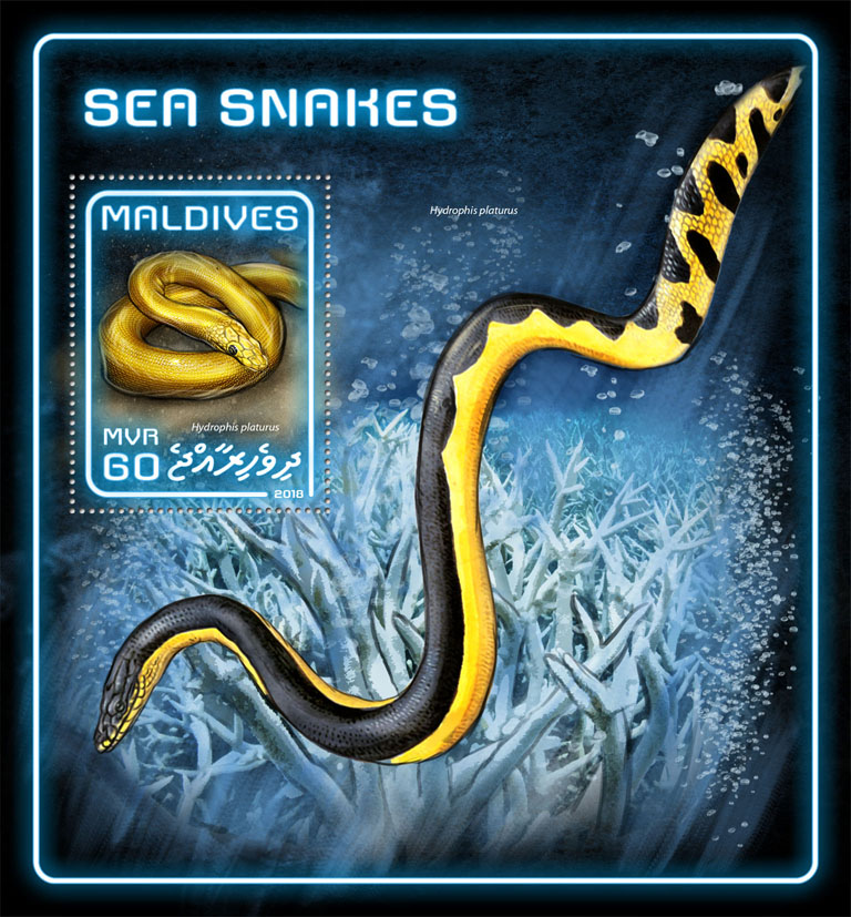 Sea snakes - Issue of Maldives postage stamps