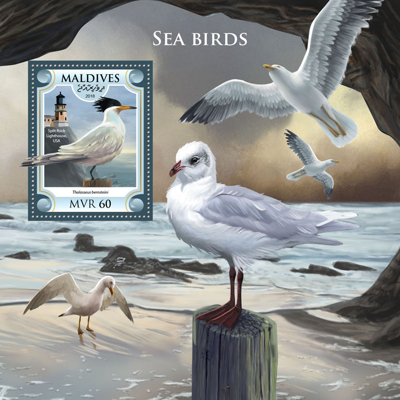 Sea birds - Issue of Maldives postage stamps