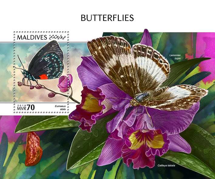 Butterflies - Issue of Maldives postage stamps