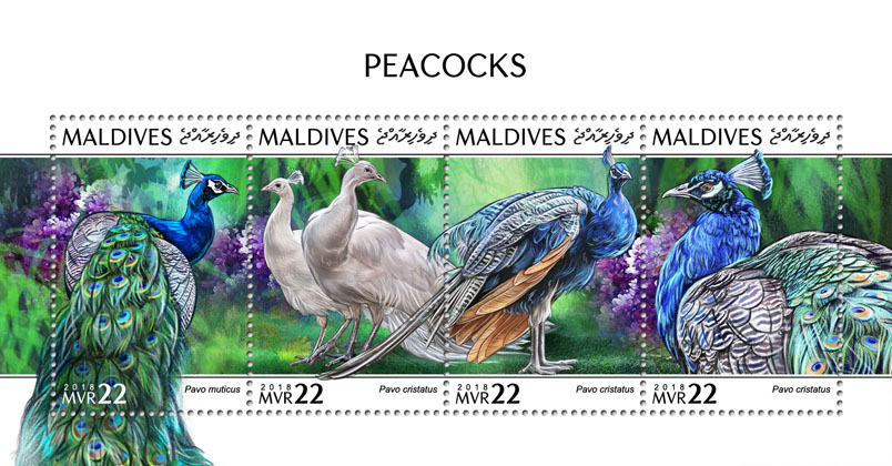 Peacocks - Issue of Maldives postage stamps