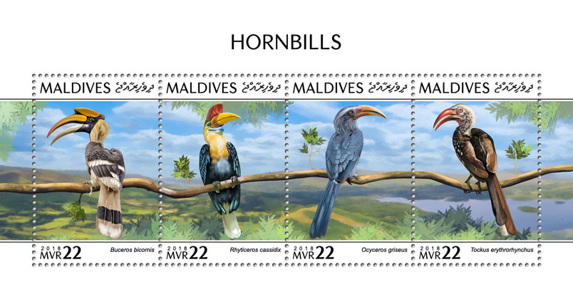 Hornbills - Issue of Maldives postage stamps