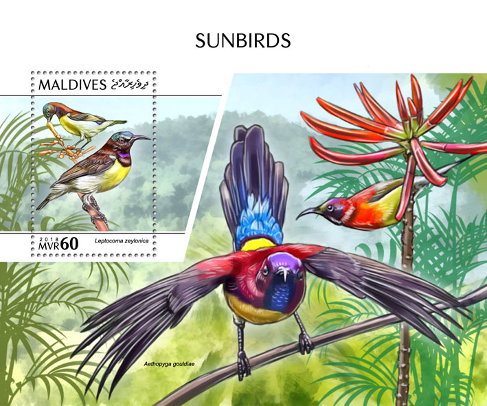 Sunbirds - Issue of Maldives postage stamps