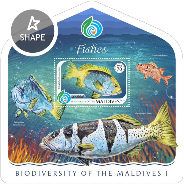 Biodiversity of Maldives - Issue of Maldives postage stamps