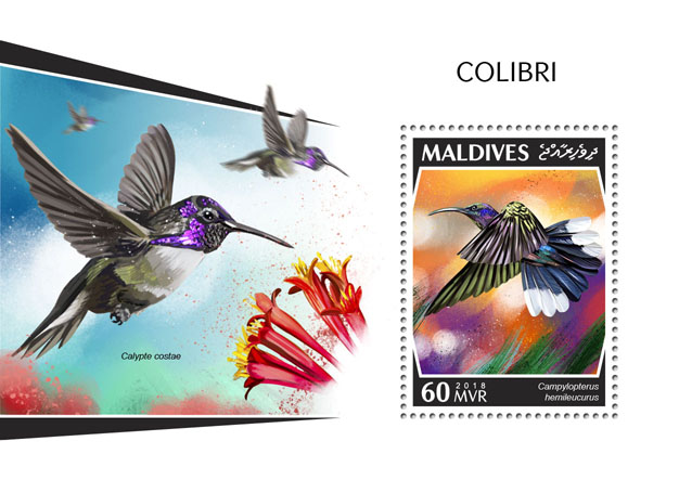 Colibri - Issue of Maldives postage stamps
