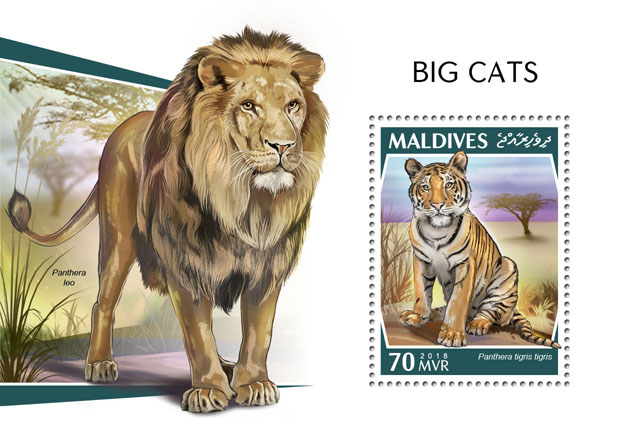 Big cats - Issue of Maldives postage stamps