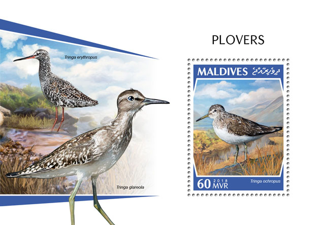 Plovers - Issue of Maldives postage stamps