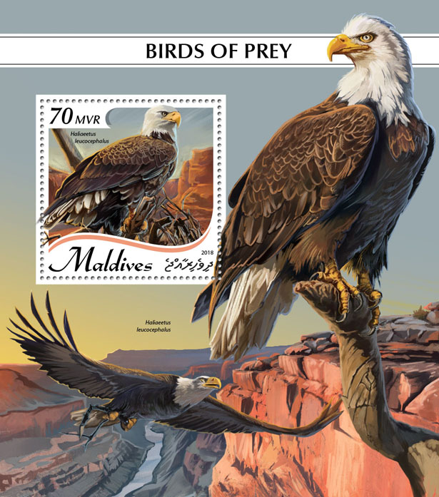 Birds of prey - Issue of Maldives postage stamps