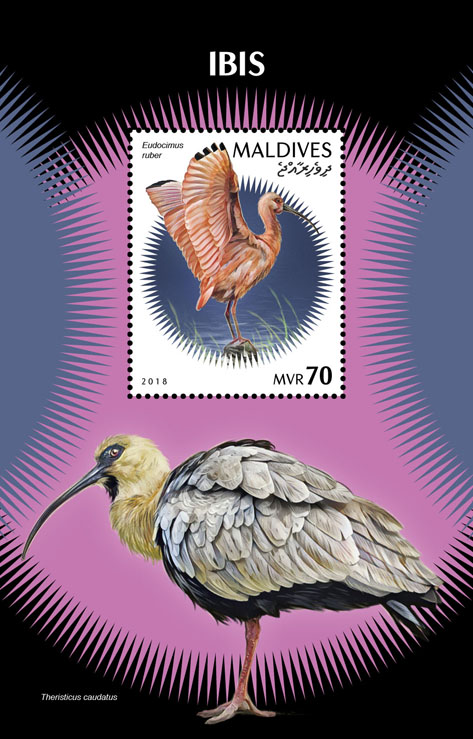 Ibis - Issue of Maldives postage stamps