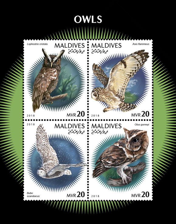 Owls - Issue of Maldives postage stamps