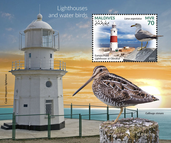Lighthouses and water birds - Issue of Maldives postage stamps
