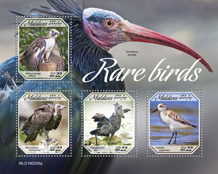 Rare birds - Issue of Maldives postage stamps