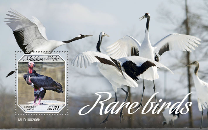 Rare birds - Issue of Maldives postage stamps