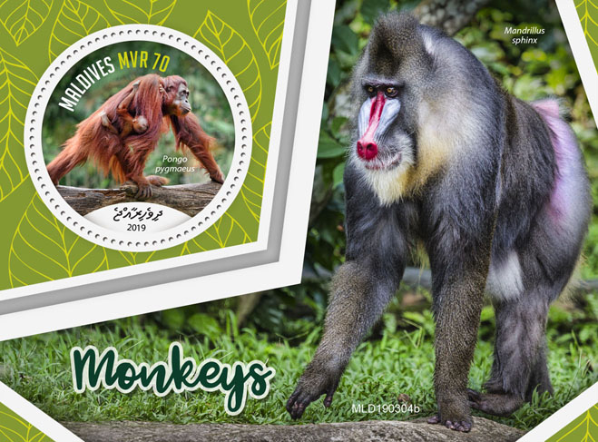 Monkeys - Issue of Maldives postage stamps