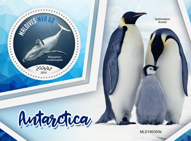 Antarctica - Issue of Maldives postage stamps