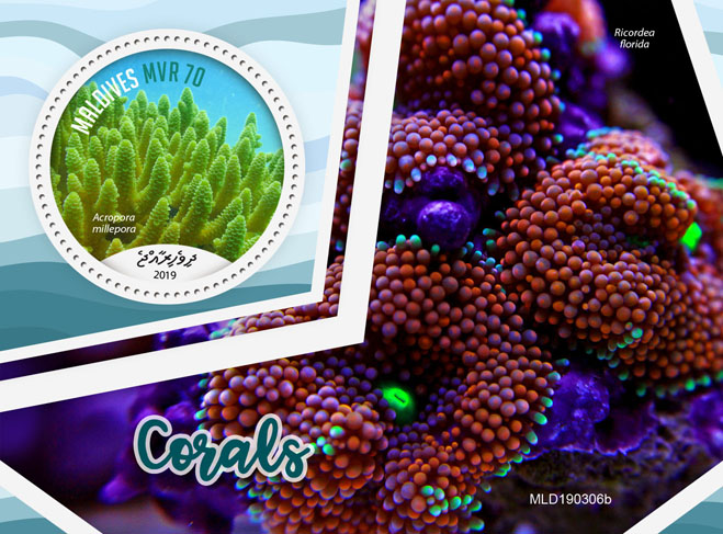 Corals - Issue of Maldives postage stamps