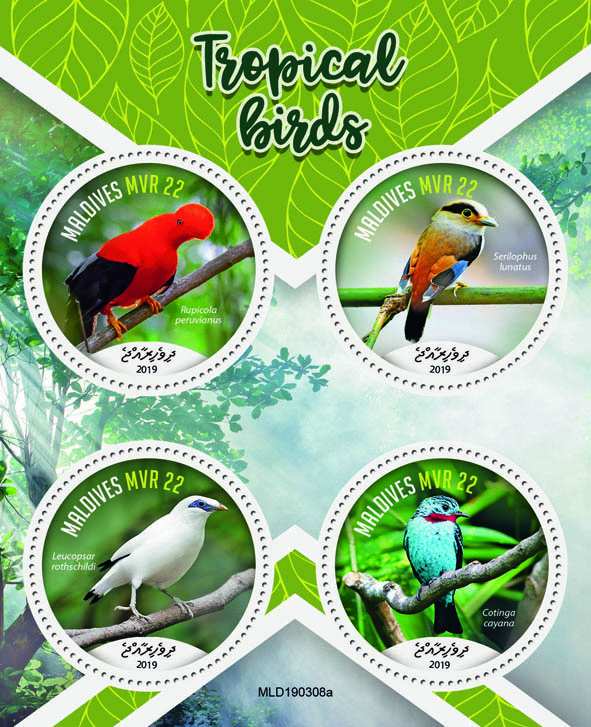 Tropical birds - Issue of Maldives postage stamps
