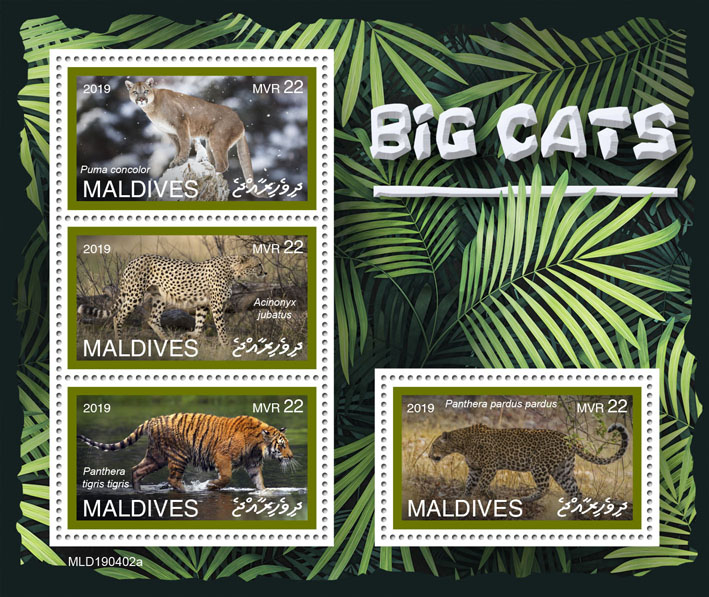 Big cats  - Issue of Maldives postage stamps