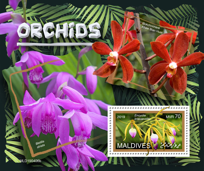 Orchids - Issue of Maldives postage stamps