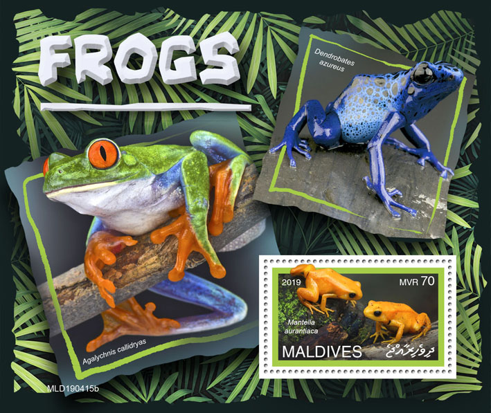 Frogs - Issue of Maldives postage stamps