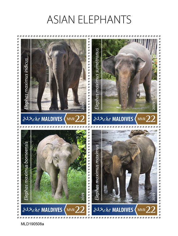 Asian elephants - Issue of Maldives postage stamps