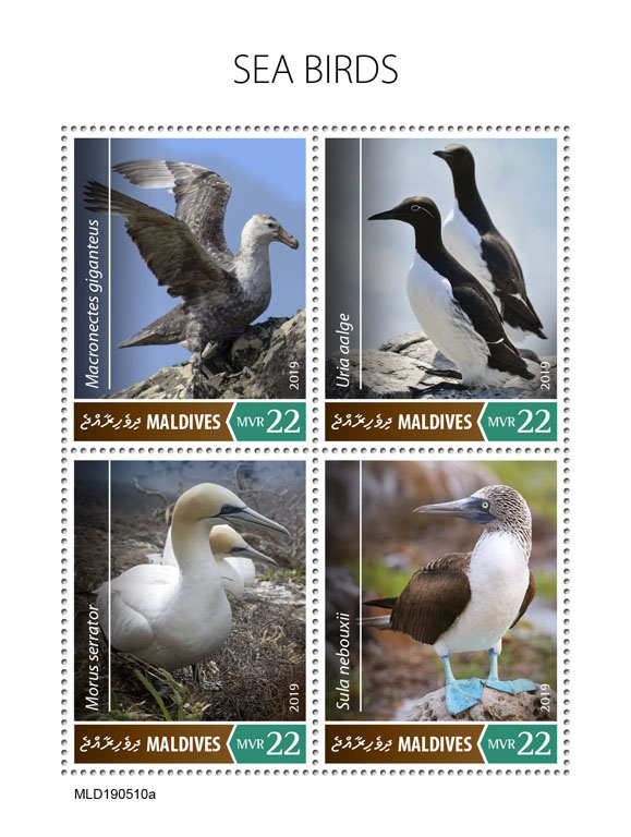 Sea birds - Issue of Maldives postage stamps