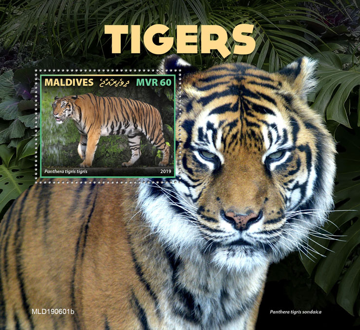 Tigers - Issue of Maldives postage stamps